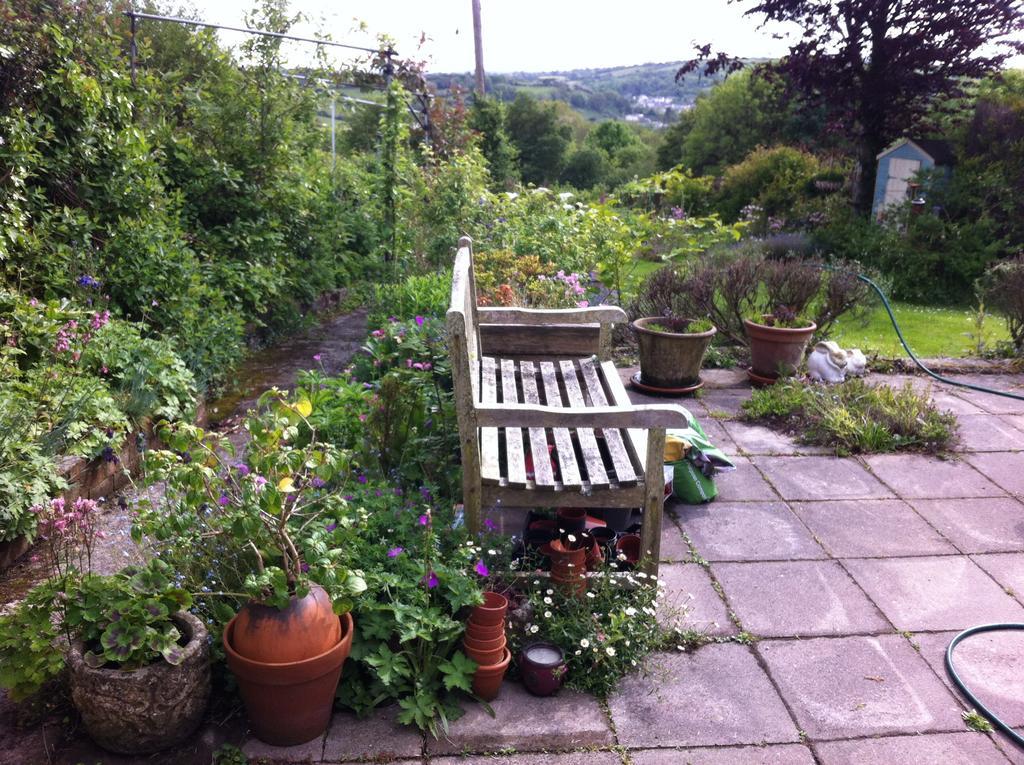 Vine Cottage Penpillick Екстер'єр фото