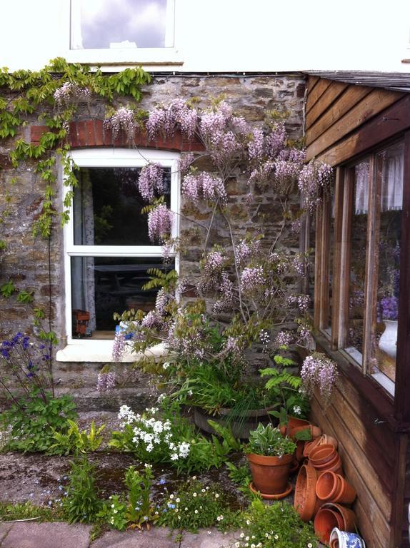 Vine Cottage Penpillick Екстер'єр фото